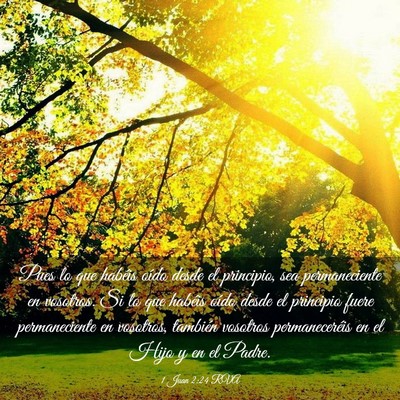 Picture 03 - 1 Juan 2:24 RVA - Pues lo que habéis oído desde el principio, sea - Bible Verse Picture