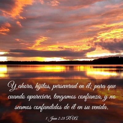Picture 03 - 1 Juan 2:28 RVA - Y ahora, hijitos, perseverad en él; para que - Bible Verse Picture
