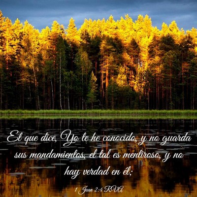 Picture 03 - 1 Juan 2:4 RVA - El que dice, Yo le he conocido, y no guarda sus - Bible Verse Picture