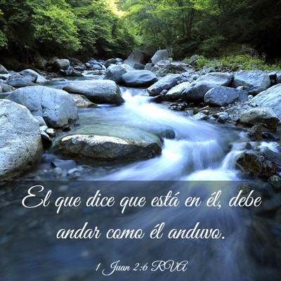 Picture 03 - 1 Juan 2:6 RVA - El que dice que está en él, debe andar como él - Bible Verse Picture