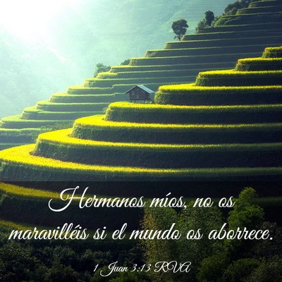Picture 03 - 1 Juan 3:13 RVA - Hermanos míos, no os maravilléis si el mundo os - Bible Verse Picture