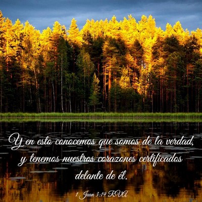 Picture 03 - 1 Juan 3:19 RVA - Y en esto conocemos que somos de la verdad, y - Bible Verse Picture