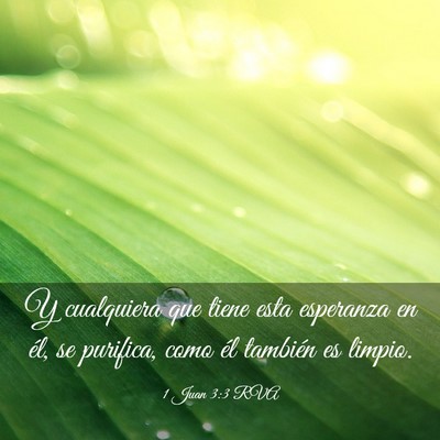Picture 03 - 1 Juan 3:3 RVA - Y cualquiera que tiene esta esperanza en él, se - Bible Verse Picture