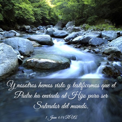 Picture 03 - 1 Juan 4:14 RVA - Y nosotros hemos visto y testificamos que el - Bible Verse Picture