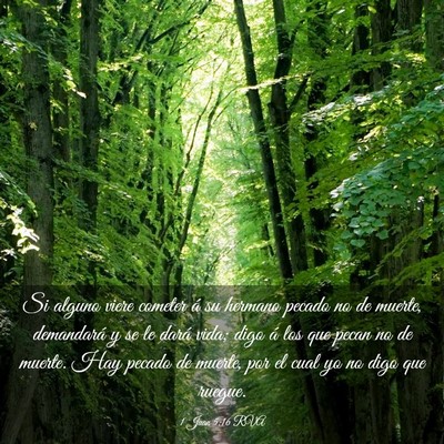 Picture 03 - 1 Juan 5:16 RVA - Si alguno viere cometer á su hermano pecado no - Bible Verse Picture
