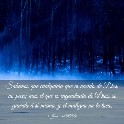 Picture 03 - 1 Juan 5:18 RVA - Sabemos que cualquiera que es nacido de Dios, no - Bible Verse Picture