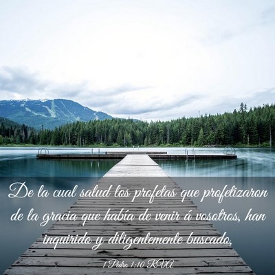 Picture 03 - 1 Pedro 1:10 RVA - De la cual salud los profetas que profetizaron de - Bible Verse Picture