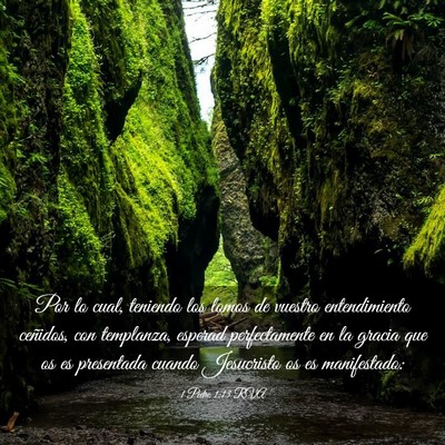 Picture 03 - 1 Pedro 1:13 RVA - Por lo cual, teniendo los lomos de vuestro - Bible Verse Picture