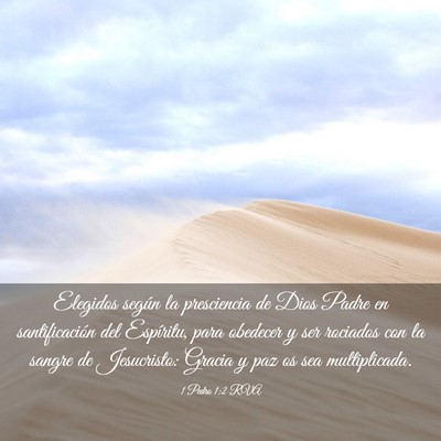 Picture 03 - 1 Pedro 1:2 RVA - Elegidos según la presciencia de Dios Padre en - Bible Verse Picture