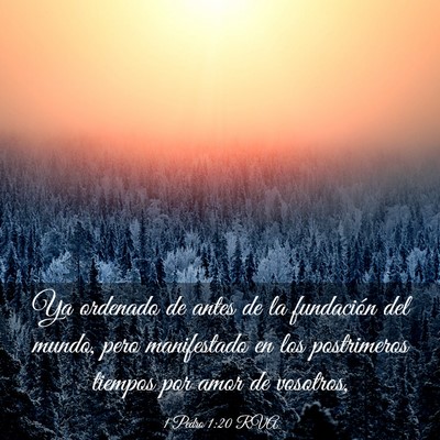 Picture 03 - 1 Pedro 1:20 RVA - Ya ordenado de antes de la fundación del mundo, - Bible Verse Picture
