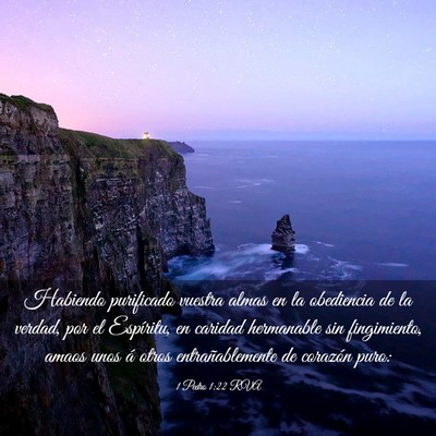 Picture 03 - 1 Pedro 1:22 RVA - Habiendo purificado vuestra almas en la - Bible Verse Picture