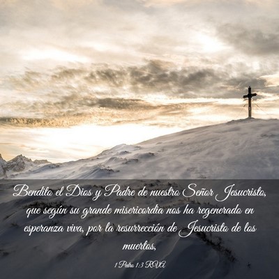 Picture 03 - 1 Pedro 1:3 RVA - Bendito el Dios y Padre de nuestro Señor - Bible Verse Picture