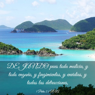 Picture 03 - 1 Pedro 2:1 RVA - DEJANDO pues toda malicia, y todo engaño, y - Bible Verse Picture