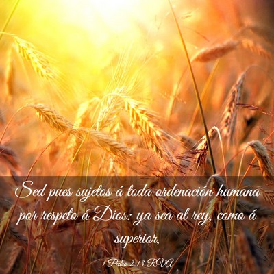 Picture 03 - 1 Pedro 2:13 RVA - Sed pues sujetos á toda ordenación humana por - Bible Verse Picture