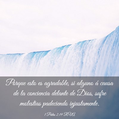 Picture 03 - 1 Pedro 2:19 RVA - Porque esto es agradable, si alguno á causa de - Bible Verse Picture