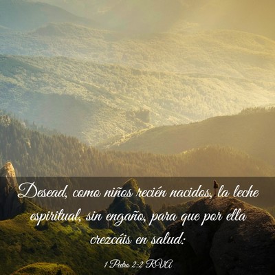 Picture 03 - 1 Pedro 2:2 RVA - Desead, como niños recién nacidos, la leche - Bible Verse Picture