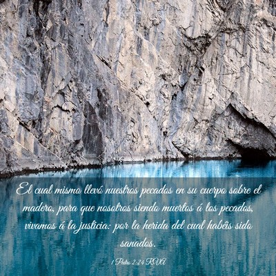Picture 03 - 1 Pedro 2:24 RVA - El cual mismo llevó nuestros pecados en su - Bible Verse Picture