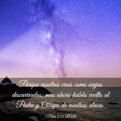 Picture 03 - 1 Pedro 2:25 RVA - Porque vosotros erais como ovejas descarriadas; - Bible Verse Picture