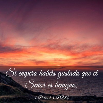 Picture 03 - 1 Pedro 2:3 RVA - Si empero habéis gustado que el Señor es - Bible Verse Picture