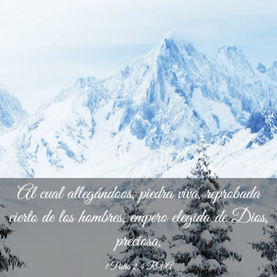 Picture 03 - 1 Pedro 2:4 RVA - Al cual allegándoos, piedra viva, reprobada - Bible Verse Picture