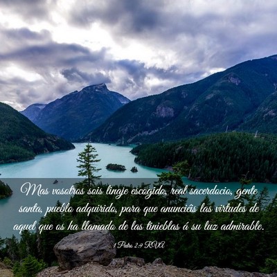 Picture 03 - 1 Pedro 2:9 RVA - Mas vosotros sois linaje escogido, real - Bible Verse Picture