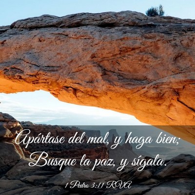Picture 03 - 1 Pedro 3:11 RVA - Apártase del mal, y haga bien; Busque la paz, y - Bible Verse Picture
