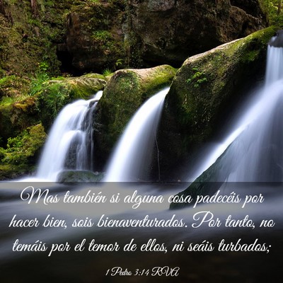Picture 03 - 1 Pedro 3:14 RVA - Mas también si alguna cosa padecéis por hacer - Bible Verse Picture