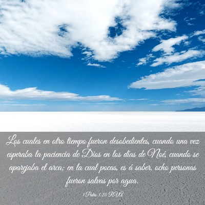 Picture 03 - 1 Pedro 3:20 RVA - Los cuales en otro tiempo fueron desobedientes, - Bible Verse Picture