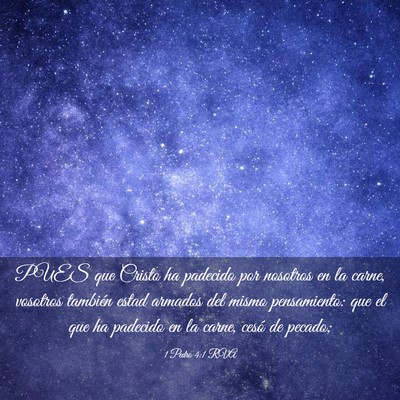 Picture 03 - 1 Pedro 4:1 RVA - PUES que Cristo ha padecido por nosotros en la - Bible Verse Picture