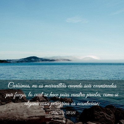Picture 03 - 1 Pedro 4:12 RVA - Carísimos, no os maravilléis cuando sois - Bible Verse Picture