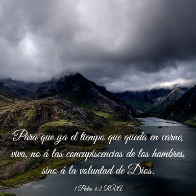 Picture 03 - 1 Pedro 4:2 RVA - Para que ya el tiempo que queda en carne, viva, - Bible Verse Picture