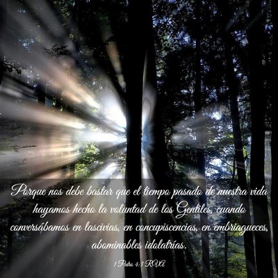 Picture 03 - 1 Pedro 4:3 RVA - Porque nos debe bastar que el tiempo pasado de - Bible Verse Picture