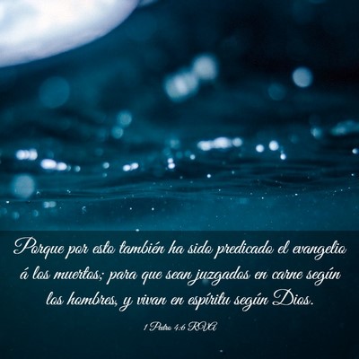 Picture 03 - 1 Pedro 4:6 RVA - Porque por esto también ha sido predicado el - Bible Verse Picture