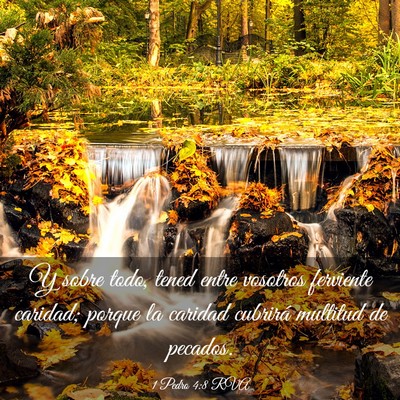 Picture 03 - 1 Pedro 4:8 RVA - Y sobre todo, tened entre vosotros ferviente - Bible Verse Picture