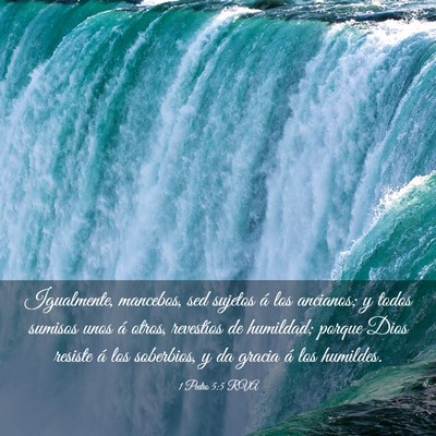 Picture 03 - 1 Pedro 5:5 RVA - Igualmente, mancebos, sed sujetos á los - Bible Verse Picture