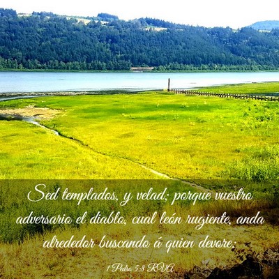 Picture 03 - 1 Pedro 5:8 RVA - Sed templados, y velad; porque vuestro adversario - Bible Verse Picture
