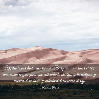 Picture 03 - 1 Reyes 1:2 RVA - Dijéronle por tanto sus siervos: Busquen á mi - Bible Verse Picture