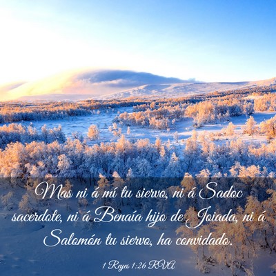 Picture 03 - 1 Reyes 1:26 RVA - Mas ni á mí tu siervo, ni á Sadoc sacerdote, - Bible Verse Picture