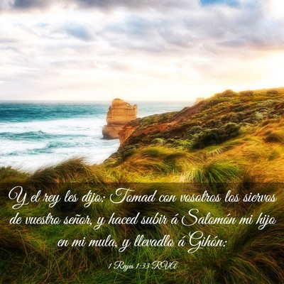 Picture 03 - 1 Reyes 1:33 RVA - Y el rey les dijo: Tomad con vosotros los siervos - Bible Verse Picture