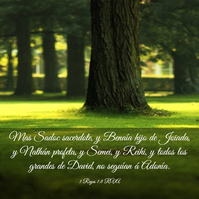 Picture 03 - 1 Reyes 1:8 RVA - Mas Sadoc sacerdote, y Benaía hijo de Joiada, y - Bible Verse Picture