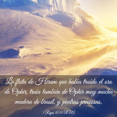 Picture 03 - 1 Reyes 10:11 RVA - La flota de Hiram que había traído el oro de - Bible Verse Picture