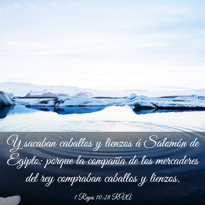 Picture 03 - 1 Reyes 10:28 RVA - Y sacaban caballos y lienzos á Salomón de - Bible Verse Picture