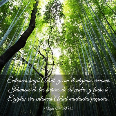 Picture 03 - 1 Reyes 11:17 RVA - Entonces huyó Adad, y con él algunos varones - Bible Verse Picture