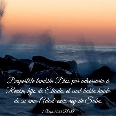 Picture 03 - 1 Reyes 11:23 RVA - Despertóle también Dios por adversario á - Bible Verse Picture