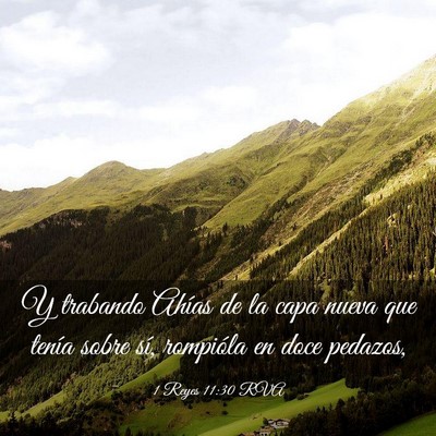 Picture 03 - 1 Reyes 11:30 RVA - Y trabando Ahías de la capa nueva que tenía - Bible Verse Picture