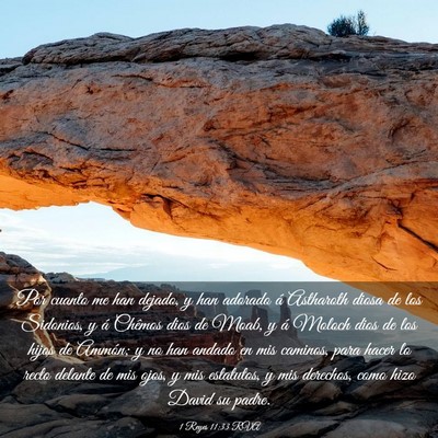 Picture 03 - 1 Reyes 11:33 RVA - Por cuanto me han dejado, y han adorado á - Bible Verse Picture