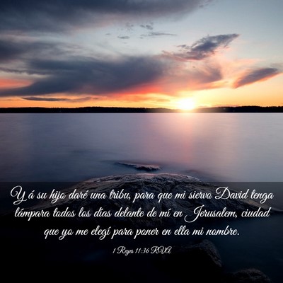 Picture 03 - 1 Reyes 11:36 RVA - Y á su hijo daré una tribu, para que mi siervo - Bible Verse Picture