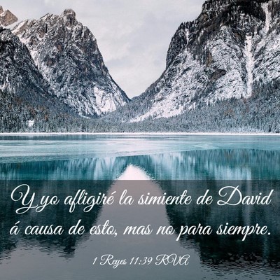 Picture 03 - 1 Reyes 11:39 RVA - Y yo afligiré la simiente de David á causa de - Bible Verse Picture