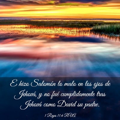 Picture 03 - 1 Reyes 11:6 RVA - E hizo Salomón lo malo en los ojos de Jehová, y - Bible Verse Picture