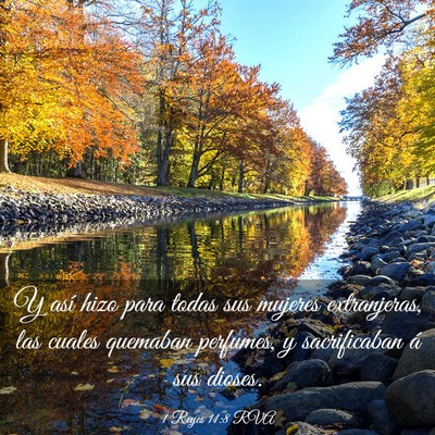 Picture 03 - 1 Reyes 11:8 RVA - Y así hizo para todas sus mujeres extranjeras, - Bible Verse Picture